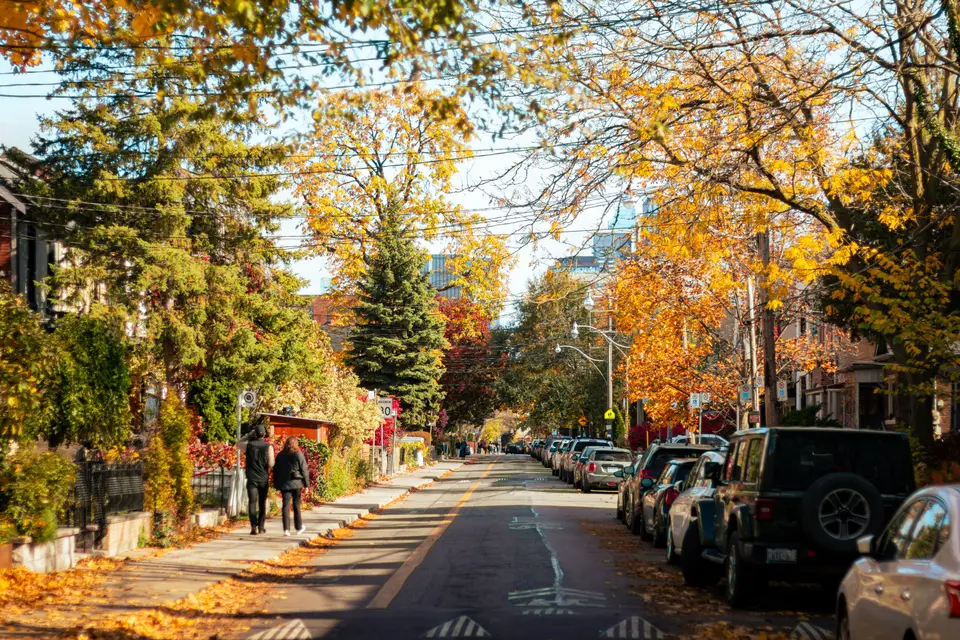 Purepeace: Your Neighbors in Wernersville, PA — Wernersville, PA